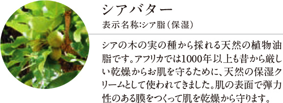 セルペネ ジェルバーム - 製品紹介 | 株式会社アトコントロール（ATCONTROL Co., Ltd.）