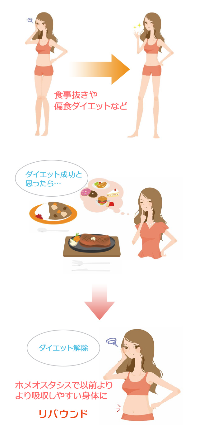 ダイエットとリバウンドの関係図