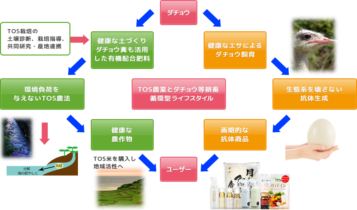 TOS農業のサイクル